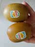 佳沛（zespri）新西兰 阳光金奇异果12粒特大果单果124-146g 猕猴桃水果礼盒 实拍图
