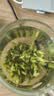 贡苑【明前头采头芽新茶】小叶苦丁特级2026嫩芽茶30包/罐 四川峨眉 实拍图