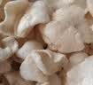 啪啪通（Papatonk）印尼进口虾片 网红原味生虾片500g/袋 鲜虾片薯片膨化休闲零食 实拍图