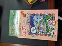 大中华寻宝记系列16·湖南寻宝记 儿童中国地理科普知识百科漫画书6-14岁儿童科普人文地理科普漫画小学生课外阅读一升二暑假衔接小升初儿童礼物京东自营正版 实拍图