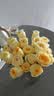 梅花（BLOSSOM）卷帘门锁 中开卷闸门锁 商铺仓库防盗锁 C级锁芯铜芯铜钥匙DZ01 商铺仓库防盗门锁 实拍图