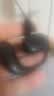 呆瓜儿（Daigali）真无线蓝牙耳机开放不入耳超长续航挂耳式超清通话降噪来电播报适用于苹果OPPO华为VIVO安卓一分购 【炫酷黑】超长续航丨高清音质 通用 实拍图