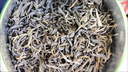 张一元云豪茉莉花茶散装一级茉莉云毫前门大栅栏总店茶叶浓香新茶 * 250g2袋云豪 茉莉花 实拍图