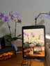 Apple/苹果 iPad mini (A17 Pro) 8.3英寸 平板电脑(128G WLAN版/mini7/MXN93CH/A)紫色 实拍图