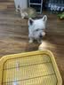 HELLOJOY狗厕所中型小型犬专用防踩屎便盆尿尿盆非不锈钢大小便神器狗砂盆 实拍图