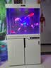 西龙新中式大型超白鱼缸客厅家用水族箱下过滤底滤懒人免换水屏风隔断 苏香桐82*40*151靠墙款 尺寸 实拍图