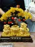 礼之源招财貔貅聚宝盆发财树摆件 开业乔迁礼品店铺前台客厅酒柜装饰品 实拍图