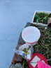 沃特浦防水涂料屋顶防水补漏材料房顶裂缝防水胶沥青王房屋楼顶防漏水胶 【超值装】水泥色 4斤 单遍约4平 实拍图