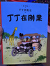 丁丁历险记【新版大开本经典收藏版】（全22册套装）（走进丁丁的历险世界，感受冒险的旅途，飞驰的人生） 课外阅读 阅读 课外书省钱卡  实拍图