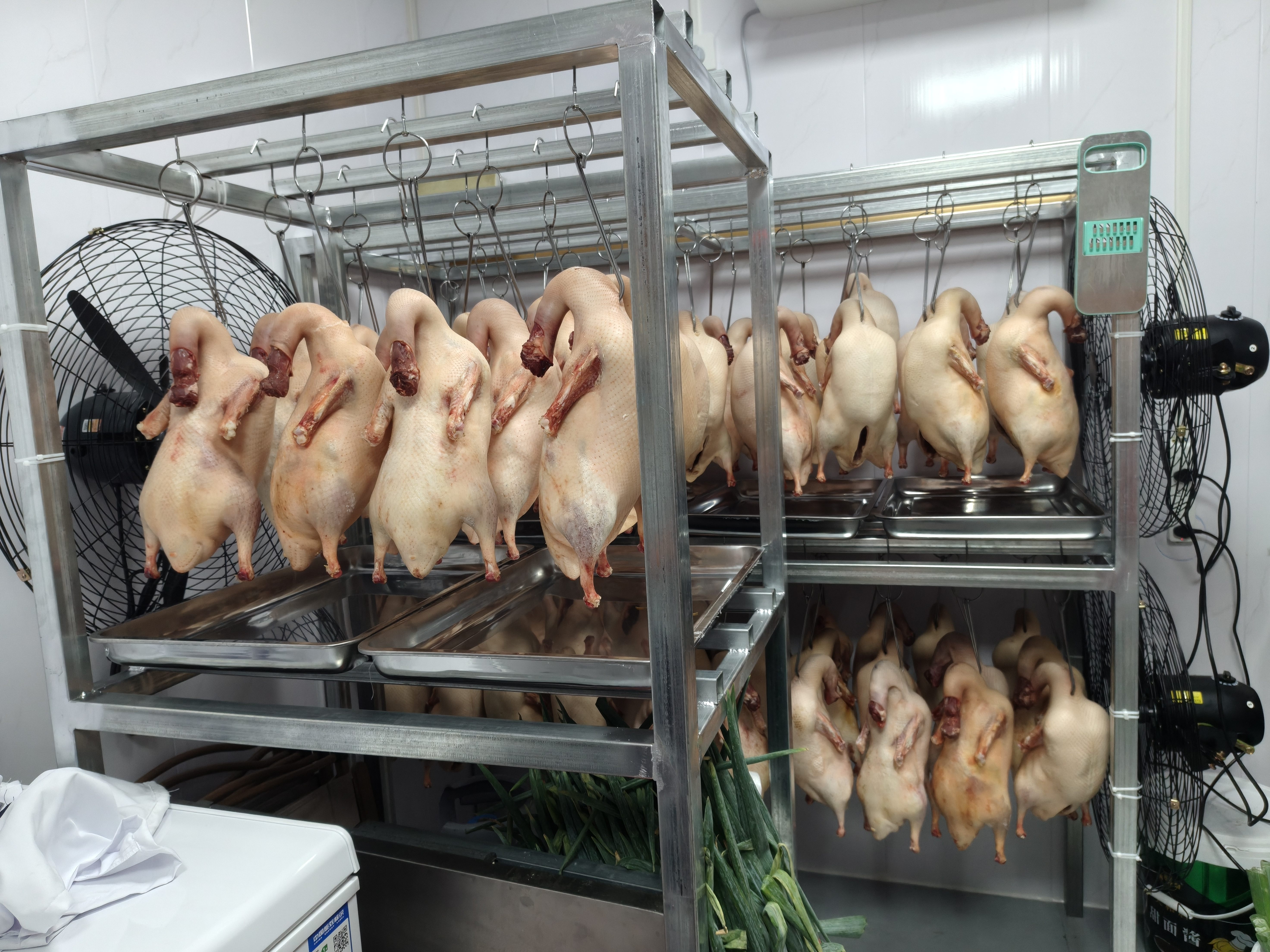 钻石牌壁扇工业风扇大风力电风扇牛角扇大功率工厂车间商用立式工业大风扇吹除甲醛FS-65 实拍图
