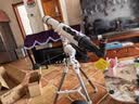 星特朗80DX顶配版80EQ3-P高清高倍观月观景专业级天文望远镜学生礼物 实拍图