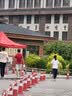 361°短袖t恤女夏季新款速干衣polo衫运动跑步宽松上衣服662624112H-2 实拍图
