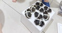 【活蟹】湖鲜阳澄 大闸蟹 去绳足重 2.0-2.3两 8只 鲜活六月黄现货超大螃蟹生鲜礼盒装 实拍图