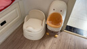 世纪宝贝（babyhood）儿童小便器 男孩小便池 站立式男童小便斗可挂墙/站立 多档调节 实拍图