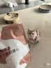丸味冻干猫咪零食磨牙洁齿棒冻干猪心 70g*3猫狗零食奖励营养肉感 实拍图