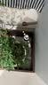 大卫喷壶浇花浇水喷雾器高压喷水壶气压式洗车水壶消毒专用家用多功能 大卫K29-多功能加压喷壶 1500毫升 实拍图