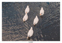 松下S5M2（20-60mm F3.5-5.6）（Panasonic）S5二代 全画幅微单相机 约2420万有效像素 新相位混合对焦 实拍图