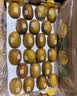 佳沛（zespri）新西兰阳光金奇异果巨大果22粒原箱单果146-175g 猕猴桃水果礼盒 实拍图
