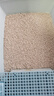 pidan猫砂 纯豆腐砂2.4kg 试用装强力吸臭不易带出 可冲厕所非膨润土砂 实拍图