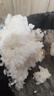 半球（PESKOE）电饭煲电饭锅家用电饭煲1-2人升可蒸煮宿舍可用不粘锅不溢锅1.6-5L小型单人老式家用电 机械款 2L 【不粘厚球胆】1-3人用 实拍图