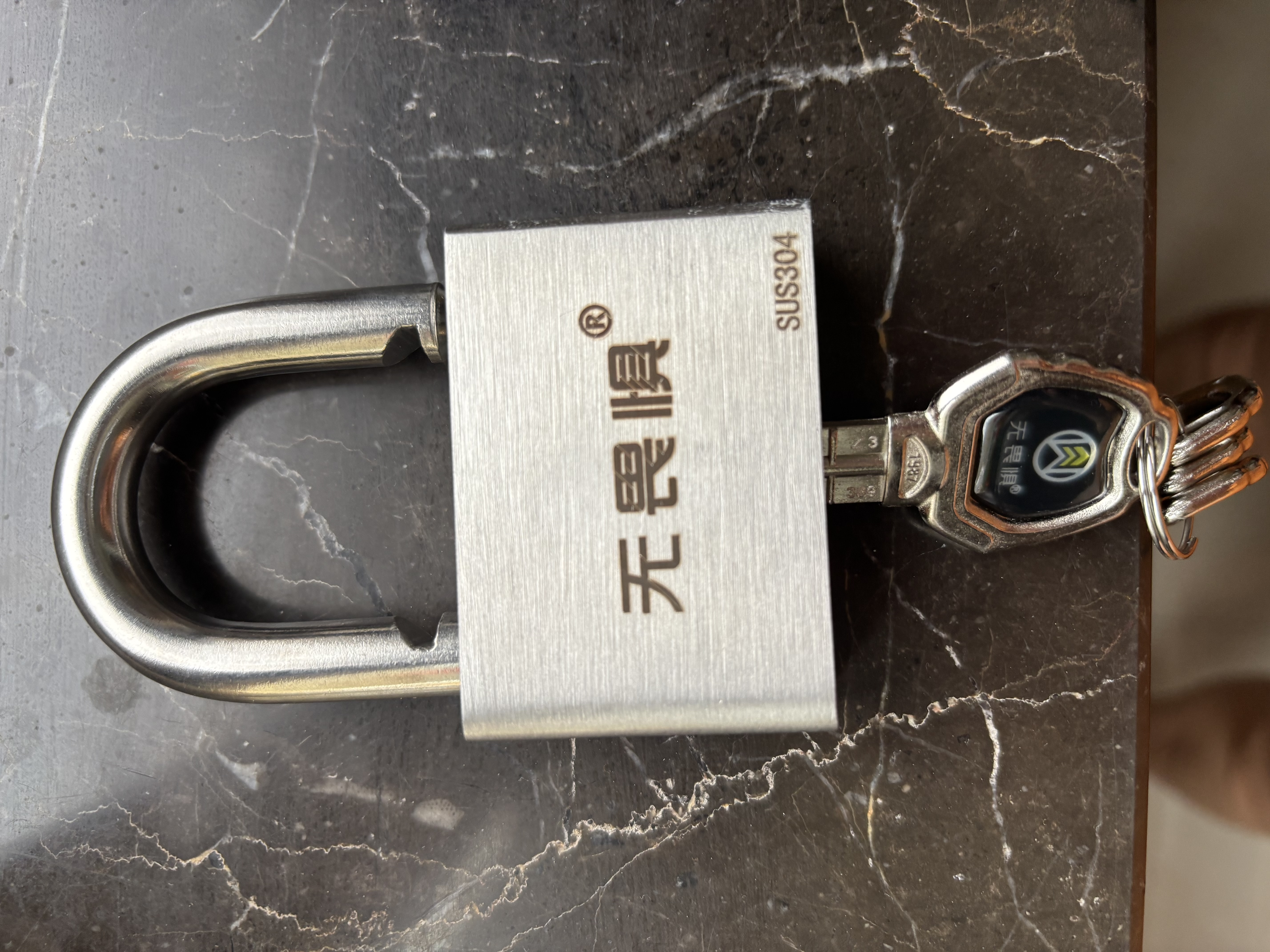 无畏惧304不锈钢C级挂锁空转防锈防盗防撬大门家用仓库车厢锁头户外窗锁 WT60【60mm锁梁直径10mm】【C级空转锁芯】4把钥匙 实拍图