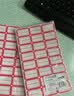 DSB迪士比不干胶标签贴纸姓名贴便签纸自粘性手写文件彩色分类贴小标识贴马卡龙色25*15mm*1000枚8103 实拍图