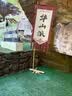 小葵花多种复合维生素c儿童维c咀嚼片vc片青少年60片*3瓶 实拍图