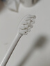 博皓（prooral）电动牙刷男女士专用成人电动牙刷情侣 自动牙刷智能电动牙刷便携正畸软毛刷头 象牙白【声波电动牙刷T39】 实拍图