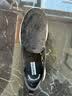 斯凯奇（Skechers）夏季女鞋舒适百搭健步鞋网面透气单鞋896020 实拍图