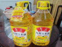 鲁花 食用油  非转基因 玉米油 桶装 5L  实拍图