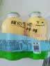 金豆芽儿童金银花柚子汁155ml*16瓶夏天孩子饮料宝宝果汁西柚汁 实拍图