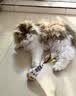 憨憨乐园猫玩具猫咪不倒翁羽毛铃铛逗猫棒球自嗨解闷神器猫猫小猫幼猫宠物 实拍图