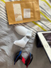 FIT MOMENT大拇指外翻矫正器医用脚趾矫正器成人儿童脚趾头分趾器硅胶可穿鞋 实拍图