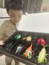 COOKSS立体昆虫发条玩具儿童益智爬行仿真动物模型早教认知生日礼物礼盒 实拍图