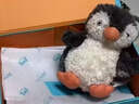 Jellycat花生企鹅动物毛绒玩偶儿童娃娃玩偶公仔毛绒送礼生日礼物 花生企鹅 Small 实拍图