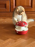 ZEZE电动猫玩具猫咪自嗨解闷猫智能转盘自动逗猫神器小猫逗猫棒 实拍图
