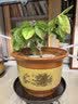 花盆陶瓷花盆家用紫砂陶土盆大号栽花绿植多肉盆景落地盆兰花盆 口径40cm（超大一个）送托盘 实拍图