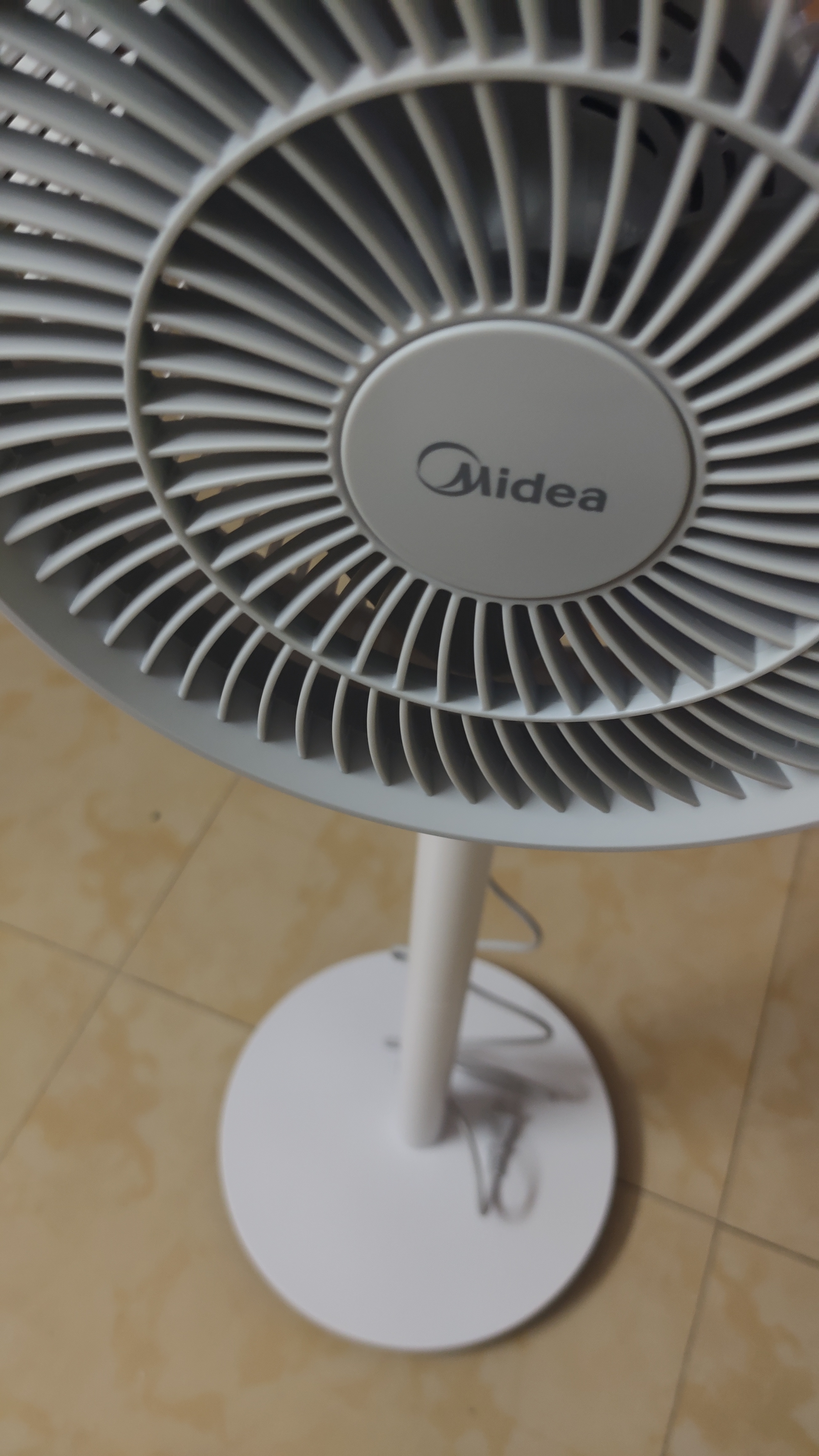 美的（Midea）【暴风循环】空气循环扇大风量电风扇落地扇轻音家用台式摇头卧室节能小风扇柔风轻羽扇 FGA24TQ 实拍图