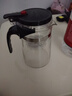 飘逸壶泡茶壶耐热高温玻璃沏茶过滤内胆冲茶器家用茶具套装 飘逸杯500mL1个 实拍图