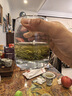 碧然德（BRITA） 家用滤水壶 净水壶滤芯 Maxtra 多效滤芯 6枚装 实拍图