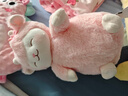 名创优品（MINISO）羊咩咩站姿樱花羊毛绒公仔毛绒玩具玩偶抱枕娃娃生日六一礼物女 实拍图