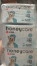 HONEYCARE好命家 狗狗纸尿裤公狗尿不湿生理裤XS12片3包装 实拍图