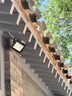 雷士（NVC）LED投光灯户外庭院工厂园林灯露营灯 IP65防水等级50W-6500K白光 实拍图