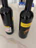 黄尾袋鼠（Yellow Tail）缤纷系列 六瓶（西拉*2梅洛*2加本力*2）原箱进口 实拍图