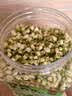 玉滋堂特级茉莉花茶花苞茶叶新花干花蕾花草茶养生茶3罐装 实拍图