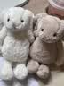 Jellycat害羞乳白色邦尼兔动物毛绒玩偶安抚玩偶娃娃送礼生日礼物 害羞乳白色邦尼兔 Small 实拍图