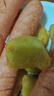 安井小厨 黄金鸡块 500g*3袋 每袋约20个 上校鸡块麦乐炸鸡 油炸小吃 实拍图