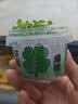 艾杰普（JEPPE）植物种植盲盒文具8盒小盆栽阳光房种植幼儿园伴手礼学生考试奖励小礼品儿童生日礼物 实拍图
