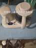小熊（Bear）迷你养生壶 办公室烧水壶电水壶煮茶壶 保温杯垫多功能花茶壶煮水壶0.8升 YSH-D08D3 实拍图