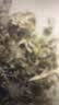 金泰康艾草泡脚药包500g*3大包 产妇月子纯艾叶儿童泡澡泡浴艾叶三伏天 实拍图